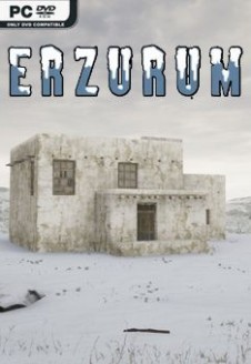 Erzurum