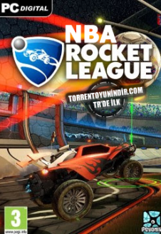 Rocket League NBA Flag Pack