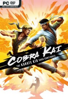 Cobra Kai: The Karate Kid Saga Continues