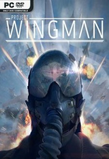 Project Wingman