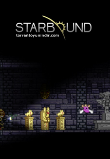 Starbound Nightly