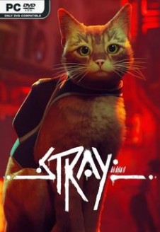 Stray