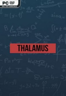 Thalamus