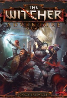 The Witcher Adventure Game