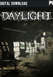 Daylight