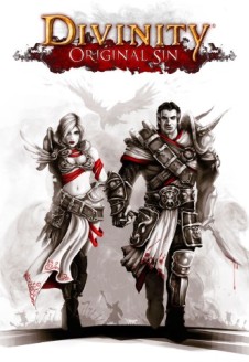 Divinity: Original Sin