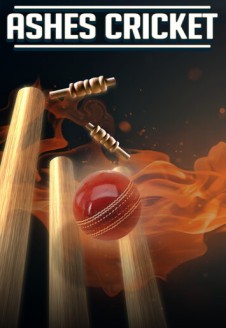 Ashes Cricket 2013