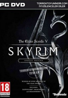 The Elder Scrolls V: Skyrim Special Edition