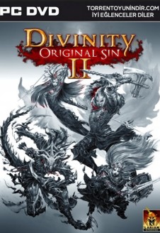 Divinity: Original Sin 2