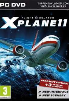 X-Plane 11