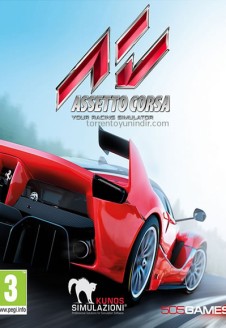 Assetto Corsa &#8211; Ready To Race Pack