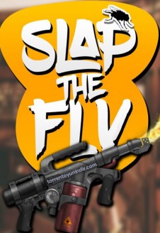 Slap The Fly