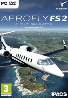 Aerofly FS 2 Flight Simulator